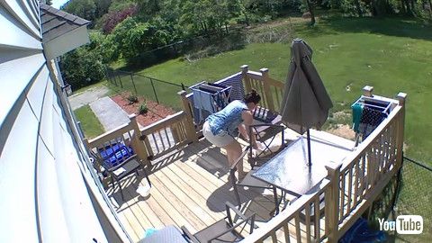 「Doggy Needs to Be Dragged in From Sunbathing || ViralHog」