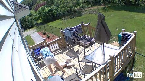 「Doggy Needs to Be Dragged in From Sunbathing || ViralHog」