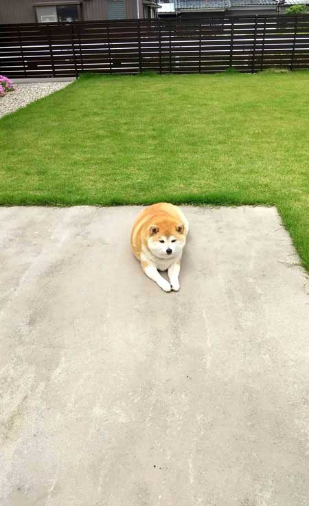 オススメ