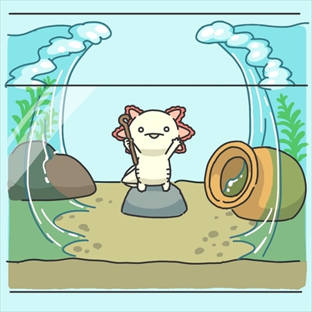 ウーパールーパーのすごいところ