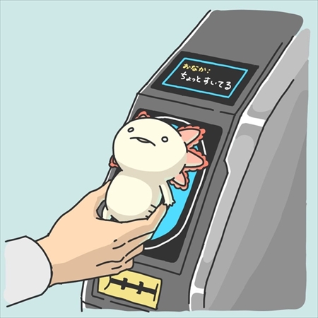 ウーパールーパーのすごいところ