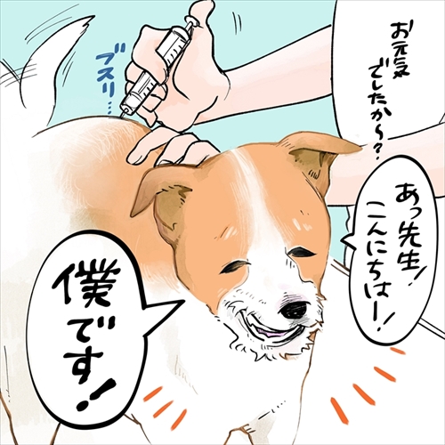 予防接種のワンちゃん