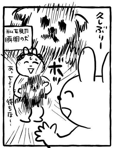 寝ころぶワンコ