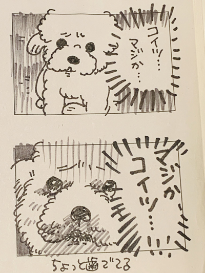 実家ワンコおやつ漫画2