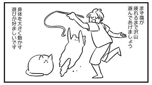 猫飼いの皆さんにアドバイス2