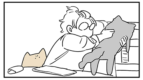 私の一日は猫を運ぶことから始まる2