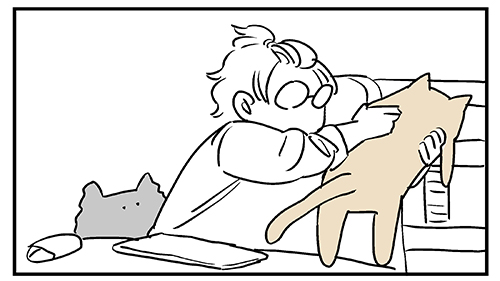 私の一日は猫を運ぶことから始まる4