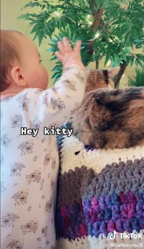 猫に振り向いてほしい赤ちゃん