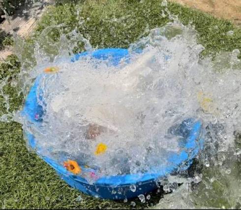 アヒル 花のタライ ヨバンさん