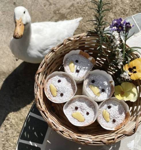 アヒル 花のタライ ヨバンさん