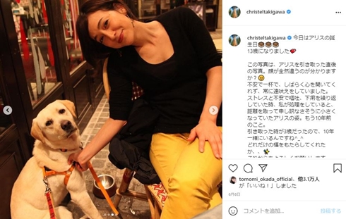 滝川クリステル アリス 愛犬 息子 何歳