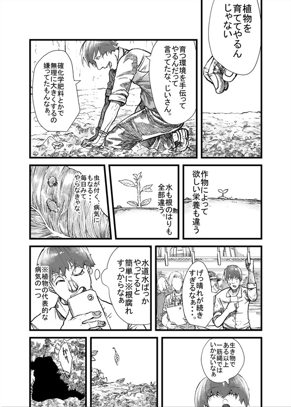 ハクビシン 漫画 駆除 畑 とうろう コミックバンチ