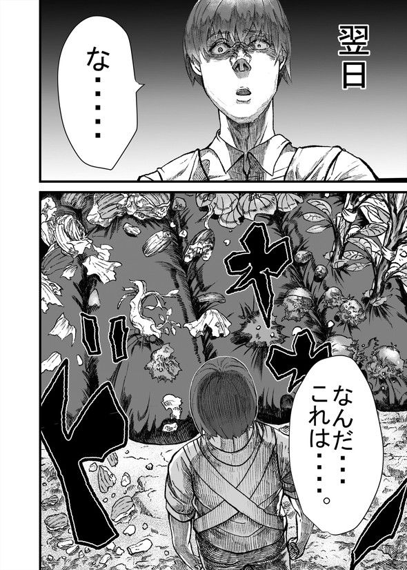 ハクビシン 漫画 駆除 畑 とうろう コミックバンチ