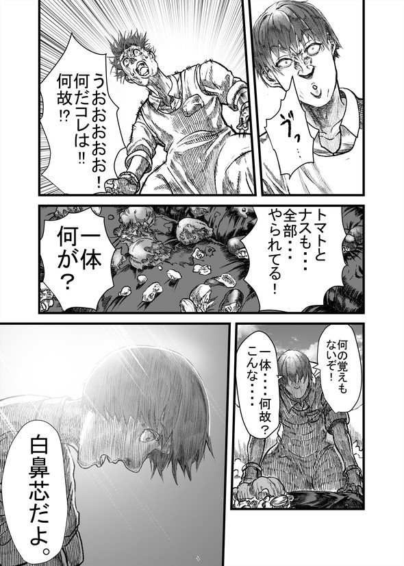 ハクビシン 漫画 駆除 畑 とうろう コミックバンチ