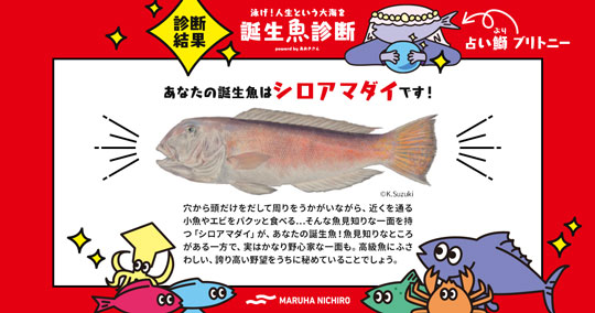 マルハニチロ 誕生魚診断 性格診断