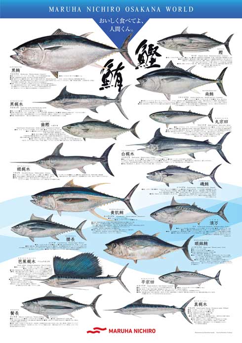 マルハニチロ 誕生魚診断 性格診断