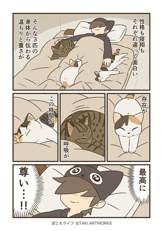 猫と寝る夜 ぽこも お気に入り ベッド 場所 3匹 愛猫 漫画