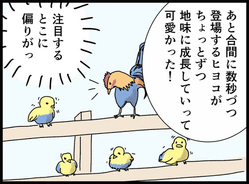 ピーターラビット