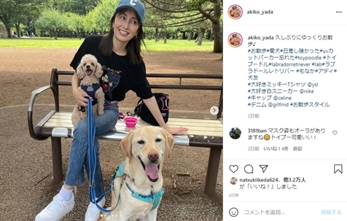 矢田亜希子 息子 現在 中学生 保護者会