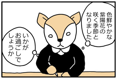 学芸員の観察日記