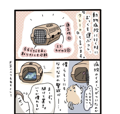 クレートに慣れたむっくくん漫画1