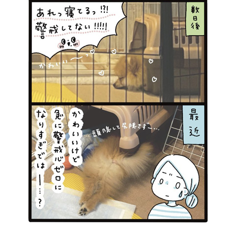 クレートに慣れたむっくくん漫画2