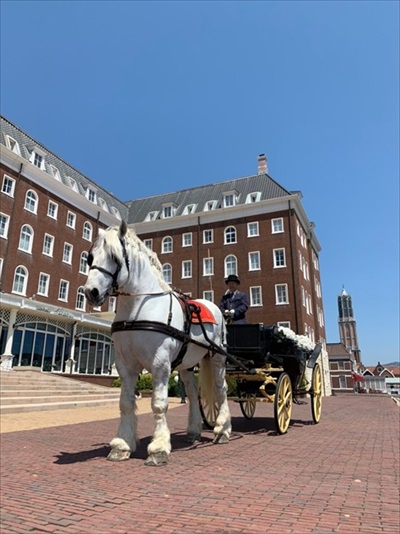 ハウステンボス　ホースランド