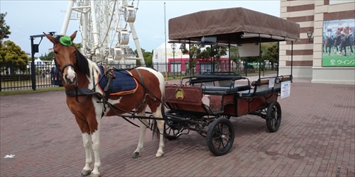 ハウステンボス　ホースランド