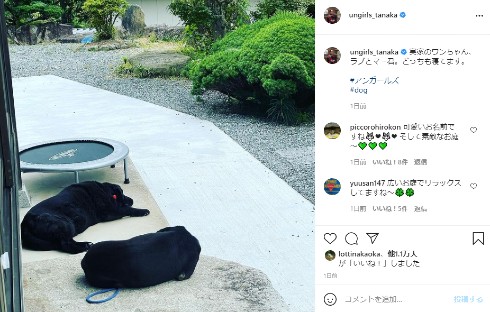 田中卓志 アンガールズ お笑い インスタ 実家 広島 愛犬