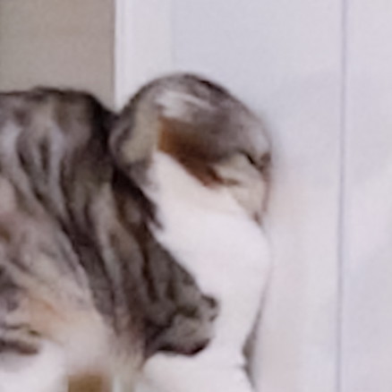 壁にぶつかっちゃったぐうちゃん