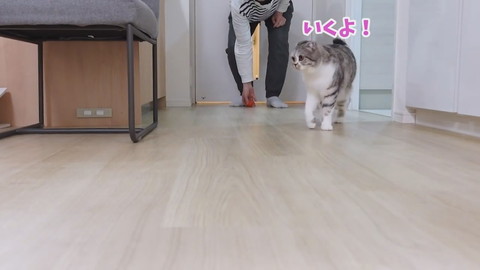壁にぶつかっちゃったぐうちゃん