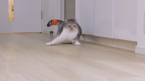 壁にぶつかっちゃったぐうちゃん