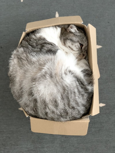 ぐうちゃんいろいろ