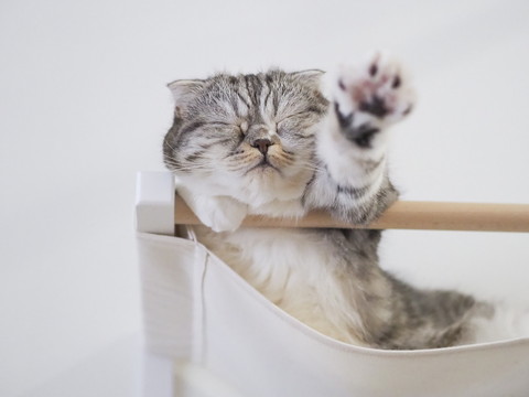 ぐうちゃんいろいろ