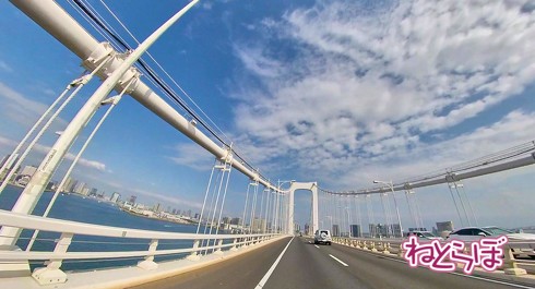 大島由香里に乾杯