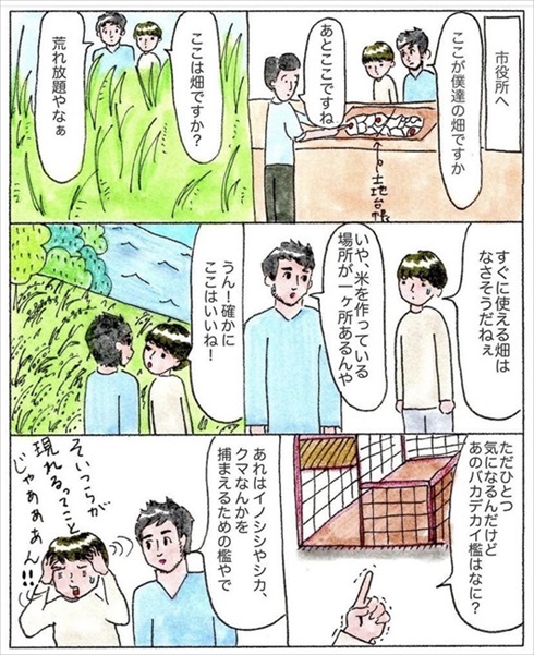 移住を決めた理由