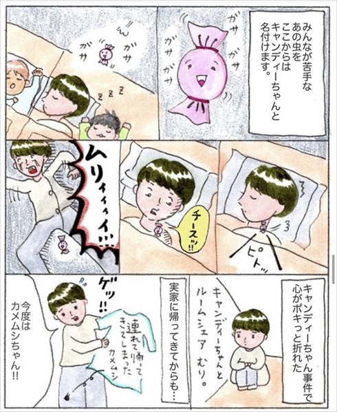 移住を決めた理由