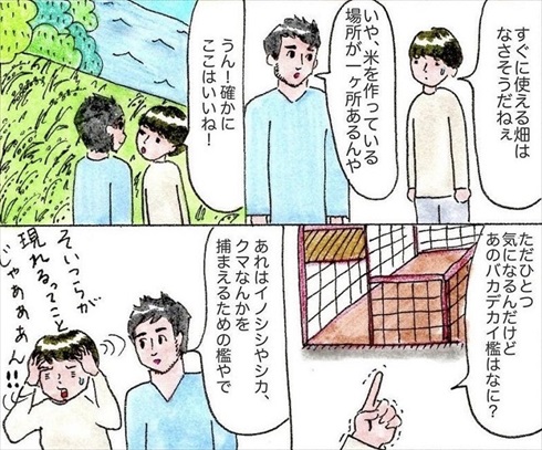 移住を決めた理由