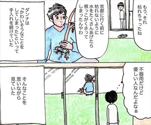 移住を決めた理由