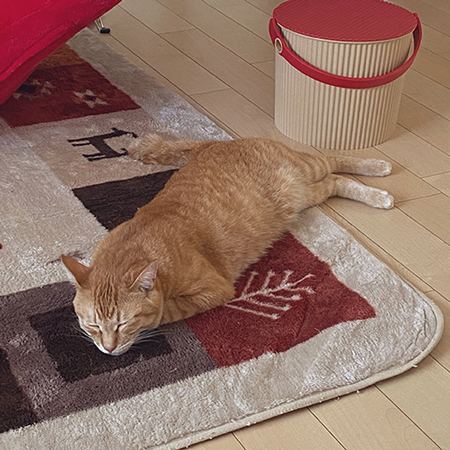 疲れたボブくん