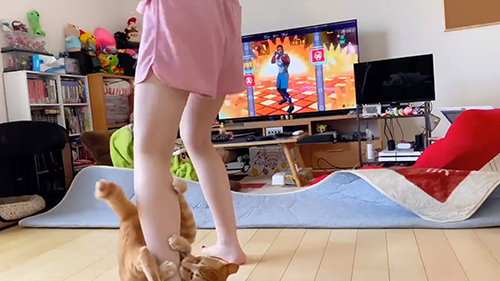 がっちりホールドボブくん