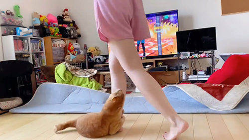 しがみついて上をみるボブくん