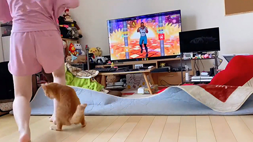 ふんばるボブくん