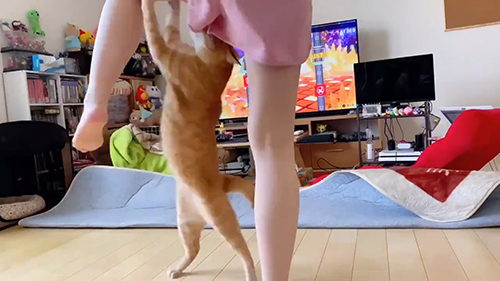 立ち上がるボブくん