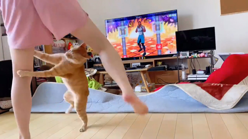 飛びつくボブくん