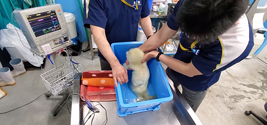 沐浴中の赤ちゃん