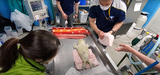 洗いあがった赤ちゃん