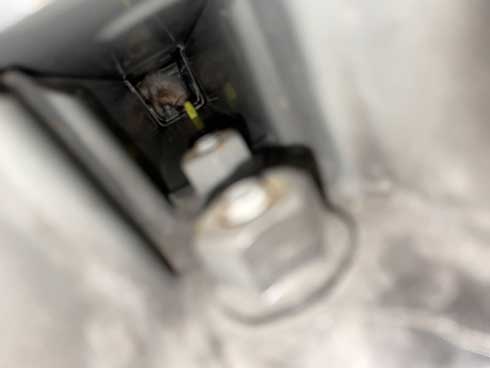 客のプリウス 猫の声 子猫 救出