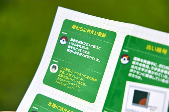 ポケモンワンダー