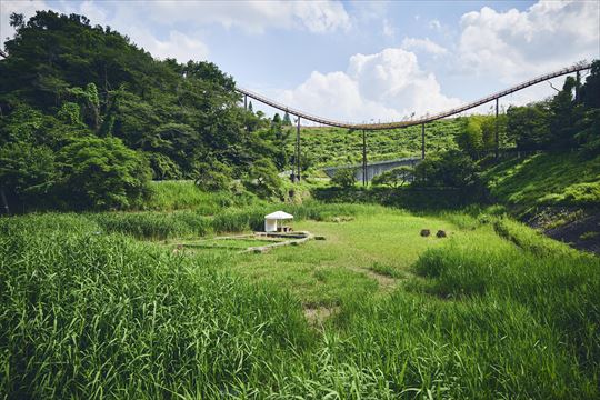 ポケモンワンダー